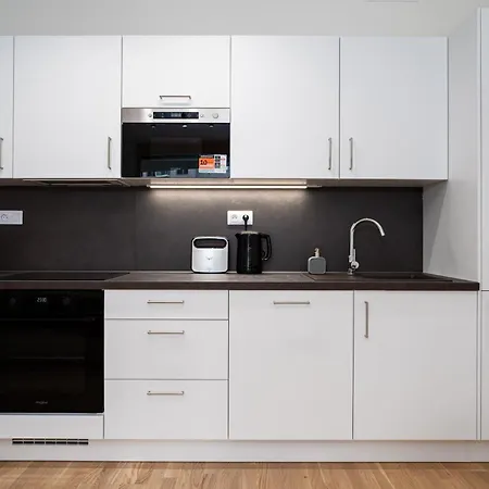 Big Living Apartment *