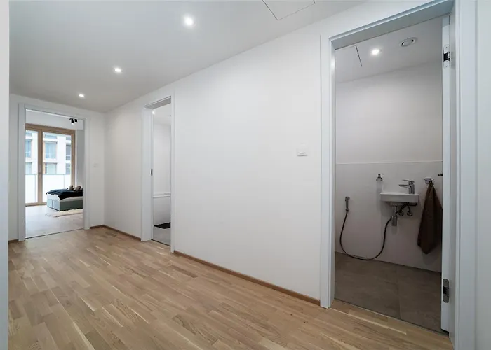 Apartment Big Living