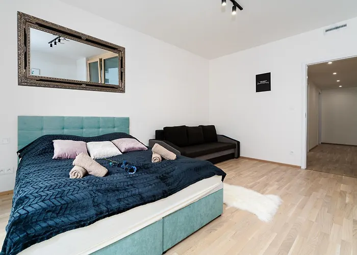 Apartment Big Living