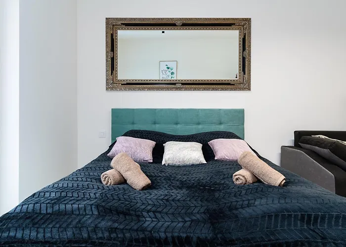 Apartment Big Living
